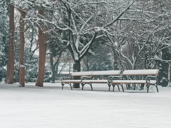 Quels sont les effets bénéfiques de la musique sur la mémoire et comment l'utiliser pour améliorer votre concentration?