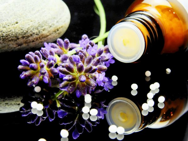 Naturopathie : le guide complet pour comprendre ses principes et ses bienfaits
